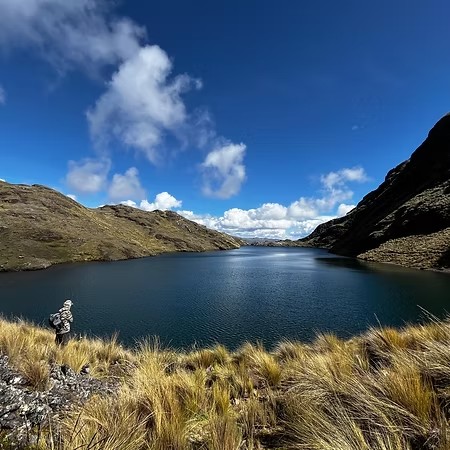 A lone hiker in tall golden grass at the edge of a deep blue mountain lake, white clouds over the ridges